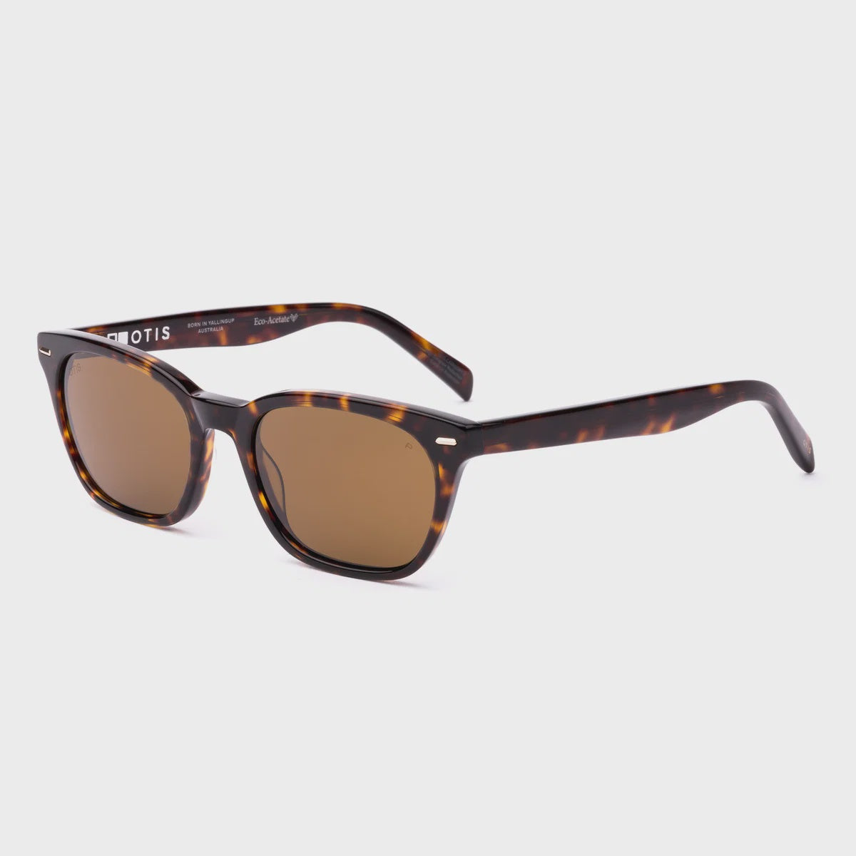 OTIS CHORUS SUNGLASSES - NEW 2026