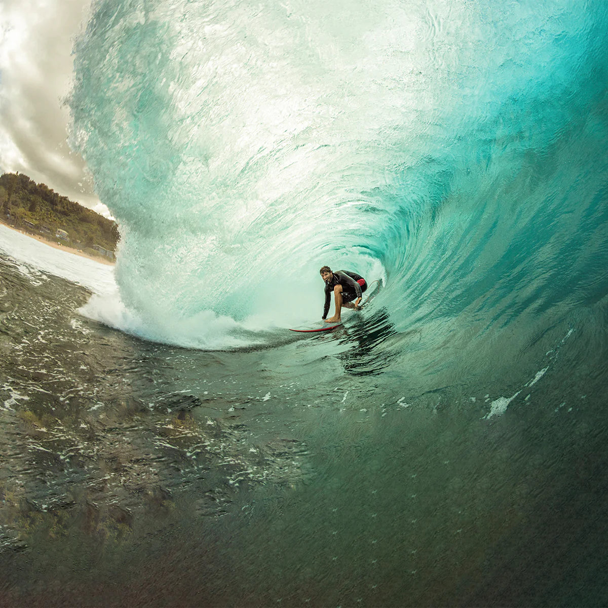 NATHAN FLORENCE TRACTION PAD - BOLT