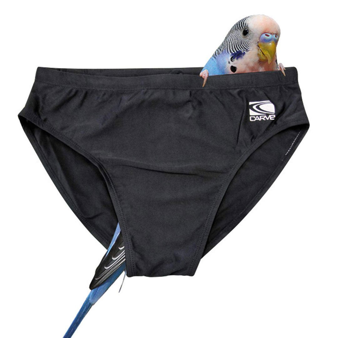 CARVE BUDGIE SMUGGLERS - SLUGGO'S - MENS - BLACK