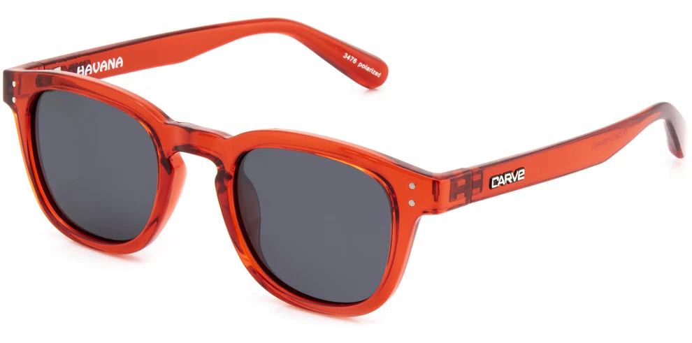 CARVE HAVANA POLARISED SUNGLASSES Powerhousesurf