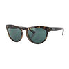 CARVE SWAY SUNGLASSES NON-POLARIZED LENS - TORT BROWN